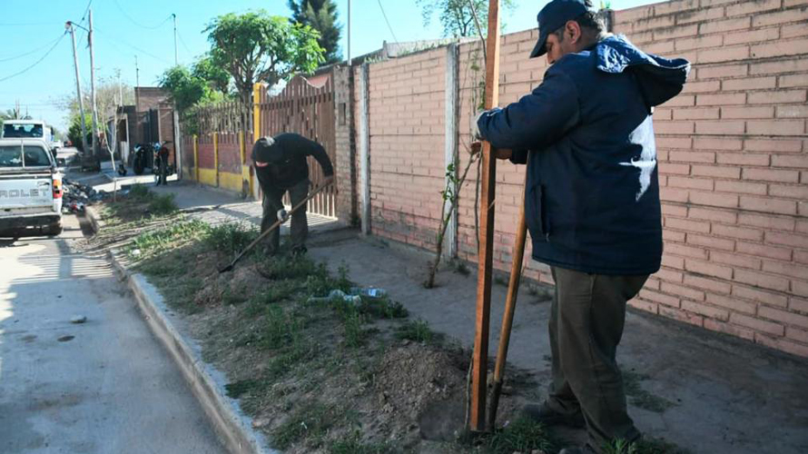 Imagen Noticia